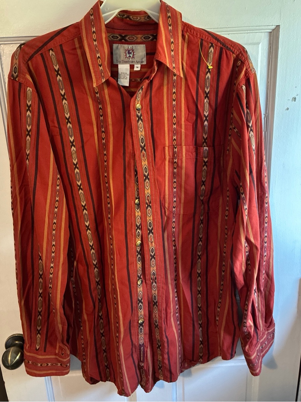 The Territory Ahead Men’s 90’s southwestern stripe cotton button down shirt